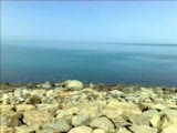 çayeli / mamul