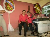Msn&perimisin Cinmisin