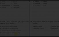 5. Sınıf Sosyal Bilgiler Kazanım Testi - 2 (Haklarımı Öğreniyorum)
