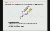 8. Sınıf Fen Bilimleri Genel Tekrar- 1