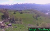 Ala Rengin Mizgin