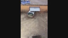 Boya ve Çizik Takıntısı Olmayan Kadın Sürücü