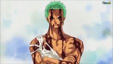 Roronoa Zoro Hiç Birşey Olmadı