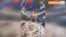 Afad'dan Nefes Kesen Köpek Kurtarma Operasyonu