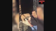 Nagihan Karadere'ye Yavru Aslan Saldırdı