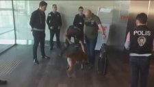 Türkiye'den Viyana Yolcularını Köpekle Koklatma(Misilleme)