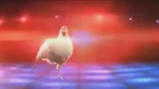 chicken song remix - Çok komik Tavuk şarkısı remix, Vermicem diyen tavuk öperim diyen horoz vermicem