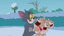 Tom ve Jerry - Kıymık