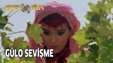 Kibar Feyzo - Gülo Sevişme