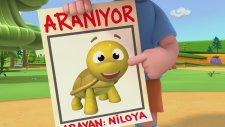 Niloya - Tospik Aranıyor Şarkısı