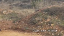 Trakya'da Tavşan Avı - Altyazılı