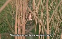 Lakhon Salaam - Jugni - Siddhant Behl (Türkçe Altyazılı)