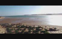 Boom Boom - RedOne - Daddy Yankee - French Montana - Dinah Jane - Official Video