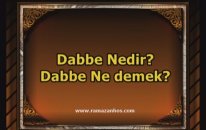 Dabbe Nedir? Dabbe Ne demek?