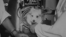 Uzaya Giden iİk Dünyalı: Laika