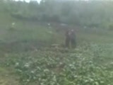 Organik Tarım Ali Yener Çiftlik Ziyareti 2009