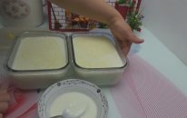 Yogurtmayala