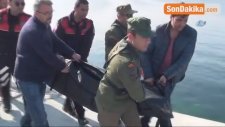 Şile'de Batan Gemide Ulaşılan Ceset Adli Tıp Kurumuna Götürüldü