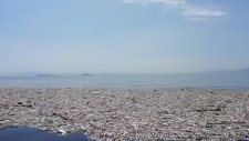 Okyanus Üzerinde Yüzen Çöp Adası