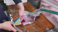 Japon Sokak Lezzeti - Papağan Balığı ( Sashimi Okinawa )
