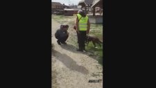 2 Yıl Sonra Kurtarıcısını Gören Köpeğin Sadakatı