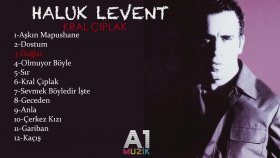 Haluk Levent - Dağlar