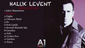 Haluk Levent - Dostum
