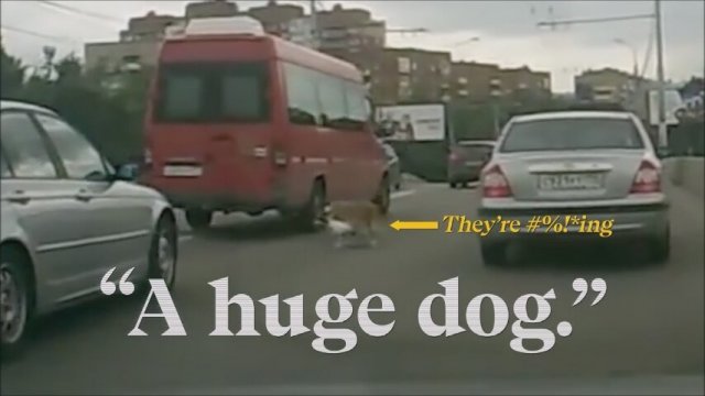 The Road Movie (2016) Fragma