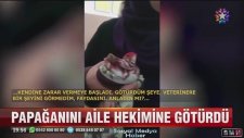 Papağanını Aile Hekimine Götüren Kadın