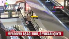 Yürüyen Merdiven İle İnatlaşan Yurdum İnsanı