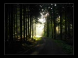 Swallow The Sun - These Lowlands