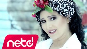 Ayşe Dinçer - Senden Koca Olmazmış Ayşe Dinçer - Senden Koca Olmazmış