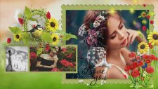 Dilek Koç - Bekledim de gelmedin