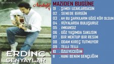 Erdinç Şenyaylar - Özleyeceğim