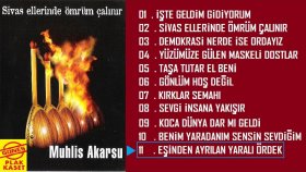 Muhlis Akarsu - Eşinden Ayrılan Yaralı Ördek Muhlis Akarsu - Eşinden Ayrılan Yaralı Ördek