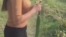 İskambil Kağıdı İle Salatalık Kesen Kız