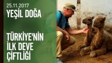 Yeşil Doğa Türkiye'nin İlk Deve Çiftliğini ve ' Mutaflar'ı Ekrana Taşıdı - 25.11.2017 Cumartesi