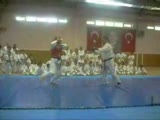 Ninbudo Aikijutsu