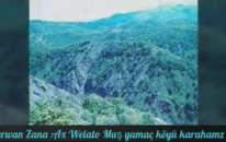Şerwan Zana - Ax Welato