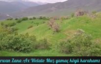 Şerwan Zana - Ax Welato