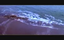 Sidar Beritan - İro Disa klip