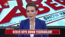 Pul Biberi Yerine Talaş Satan Kimyager
