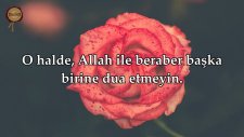Cin Suresi - Maher al Muaiqly (Kıraat 2) | fussilet Kuran Merkezi