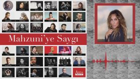 Ziynet Sali - Delimiyim Ben Ziynet Sali - Delimiyim Ben