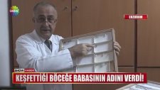 Yeni Keşfettiği Böceğe Babasının Adını Verdi