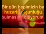 Olgunlaşmak