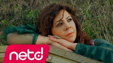 Malatyalı Cano - Vız Gelir