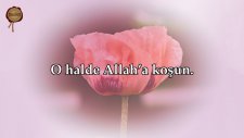 Zariyat Suresi - Hazza al Balushi | fussilet Kuran Merkezi