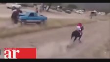 Meksika’da Yarış Atı Araca Çarptı