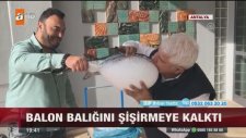 Balon Balığını Yanlış Anlayan Adam
